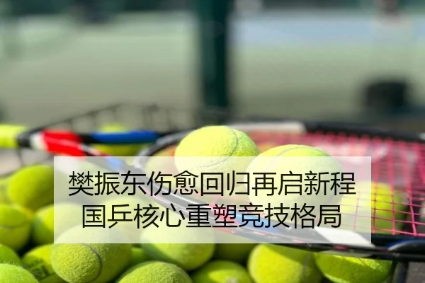 樊振东伤愈回归再启新程 国乒核心重塑竞技格局